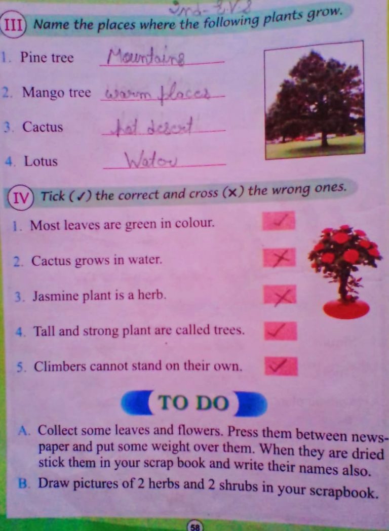 Memorial middle school logo picture